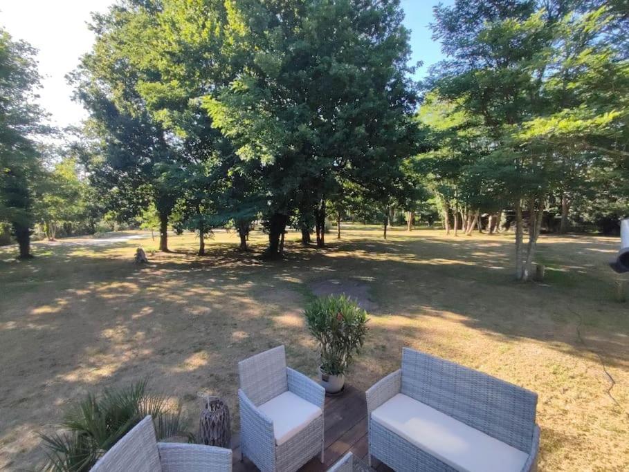 Вілла Tiny House Chez Caroline Gaillan-en-Medoc Екстер'єр фото